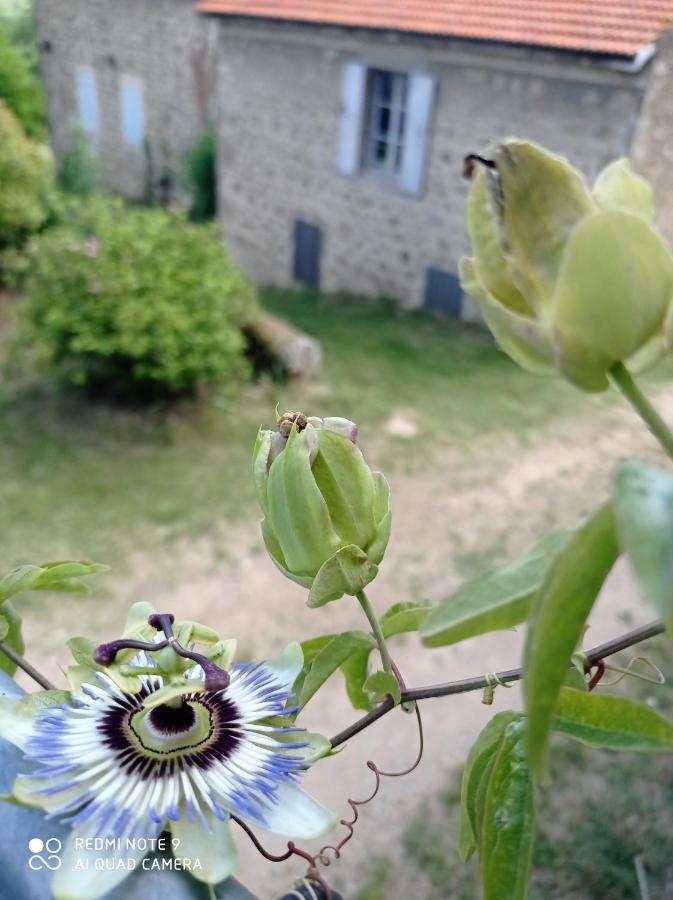 فيلا Ferme De Fenivou Boulieu-les-Annonay المظهر الخارجي الصورة