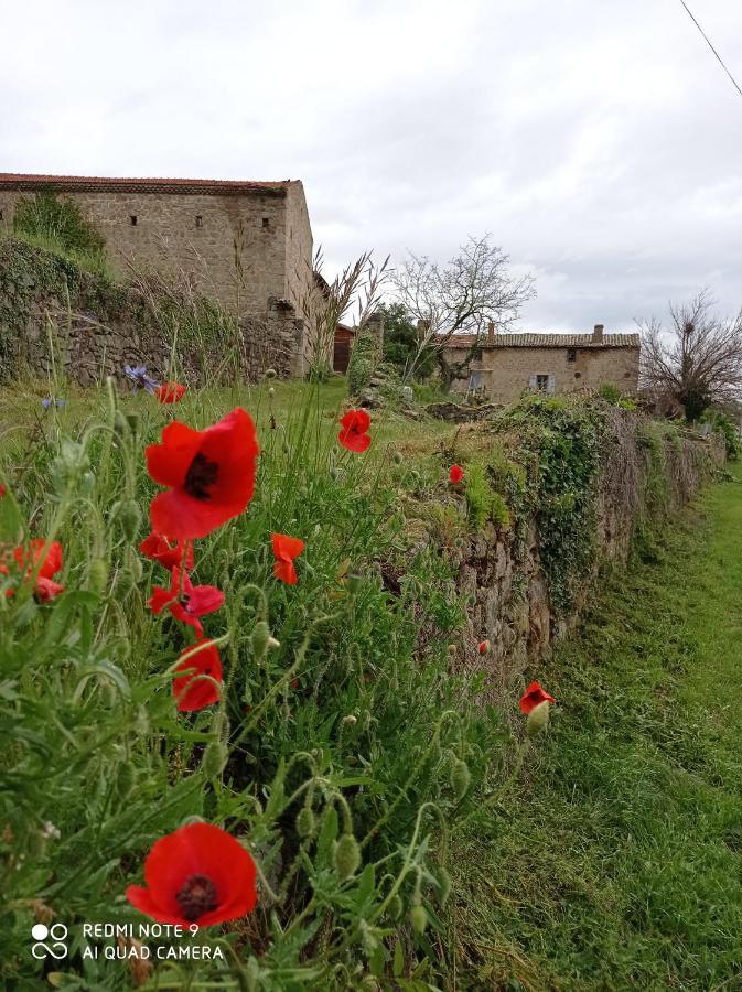 فيلا Ferme De Fenivou Boulieu-les-Annonay المظهر الخارجي الصورة