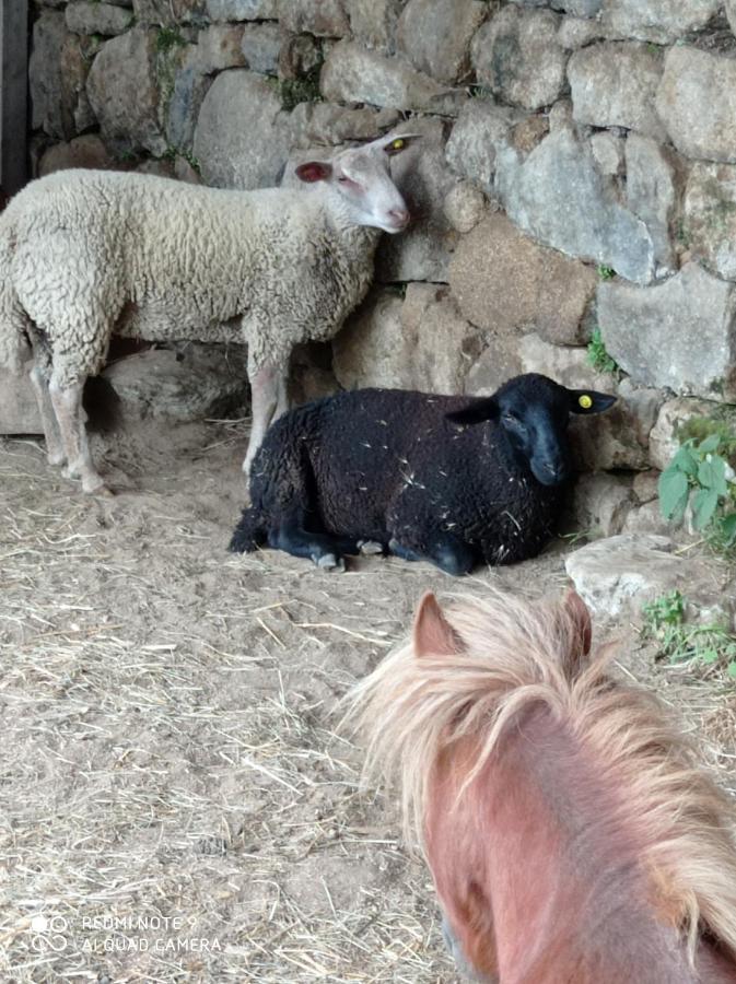 فيلا Ferme De Fenivou Boulieu-les-Annonay المظهر الخارجي الصورة